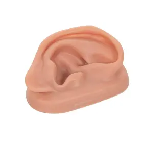 N15-1R 3B SCIENTIFIC Skinlike Silicone Right Acupuncture Ear