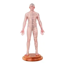 48-256-EN-M BINIMOKOO Acupuncture Human Acupoint Silicone #3