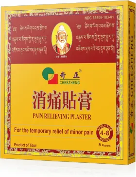 787654570058 CHEEZHENG TIBETREE Qizheng Plaster Fba Pain Pack