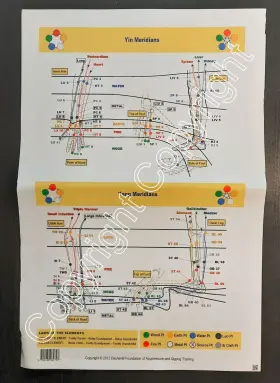 799439082793 DASHEN FOUNDATION Elements Acupuncture Poster #2