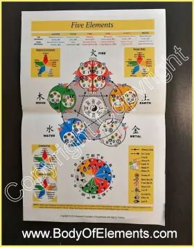 799439082793 DASHEN FOUNDATION Elements Acupuncture Poster