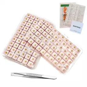 744128837956 GGFSSQ Ear Seeds Acupuncture Big Kit