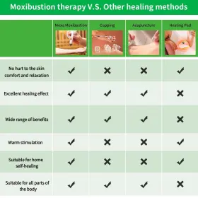 738066840741 HORLORFE Box Moxa Sticks Moxibustion Stic #2