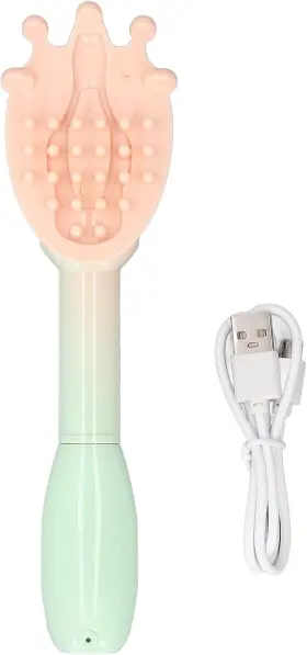 HZTYYIER2Y0HS8R9EZ-12 HZTYYIER Electric Scratcher Effective
