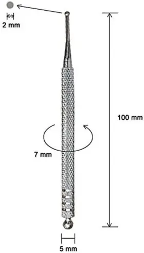 445044547556 JOYJORYA Facial Reflexology Tools Double Spring #3