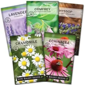 Sow Right Seeds B09wjdm8bs - Medicinal Herb Seed Collection Chamomile Echinacea