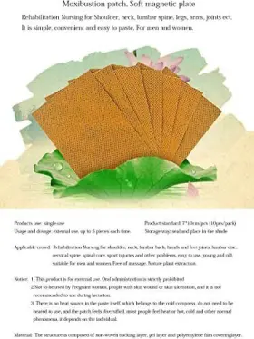 799947566891 TAI REN YI Moxibustion Patches Pure Nature Moxa #2