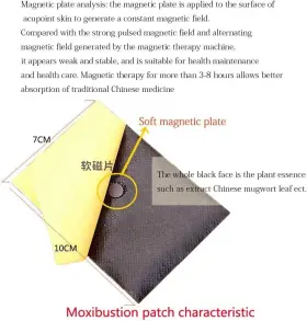 799947566891 TAI REN YI Moxibustion Patches Pure Nature Moxa #3