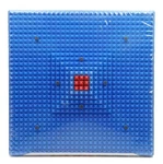 Acs Mat Acupressure Reflexology Magnetic Pyramidal Therapy Energy Free Shipping.. Fixed Price $26.99.