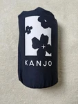 Kanjo Acupressure Mat And Neck Pillow Set Back Pain Stress Relief Massage Blue. Fixed Price $44.00.