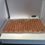 Complete Unity Yoga Relaxfast Lite Acupressure Mat. Fixed Price $29.99.
