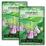 Sow Right Seeds - Comfrey For Planting Non-gmo Heirloom Herb Garden. Fixed Price $17.09.