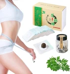 Mugwort Belly Patch,30pcs Natural Wormwood Essence Pills And 30pcs Sticker. Fixed Price $24.83.