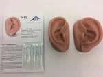 3b Scientific Acupuncture Ear Anatomy Learn Left & Right Set Skinlike Silicone. Fixed Price $44.52.